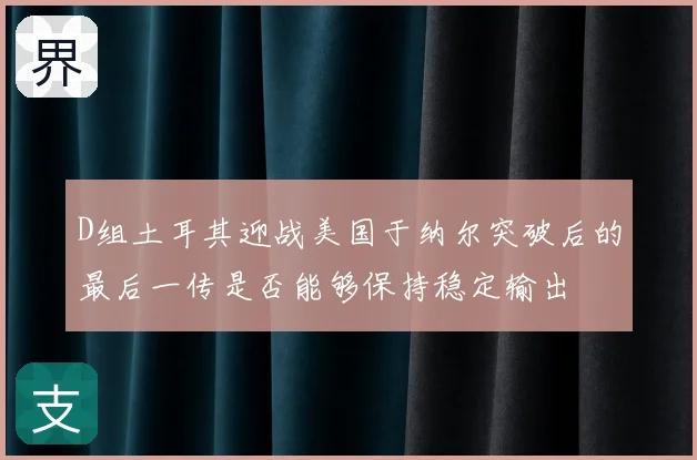 D组土耳其迎战美国于纳尔突破后的最后一传是否能够保持稳定输出